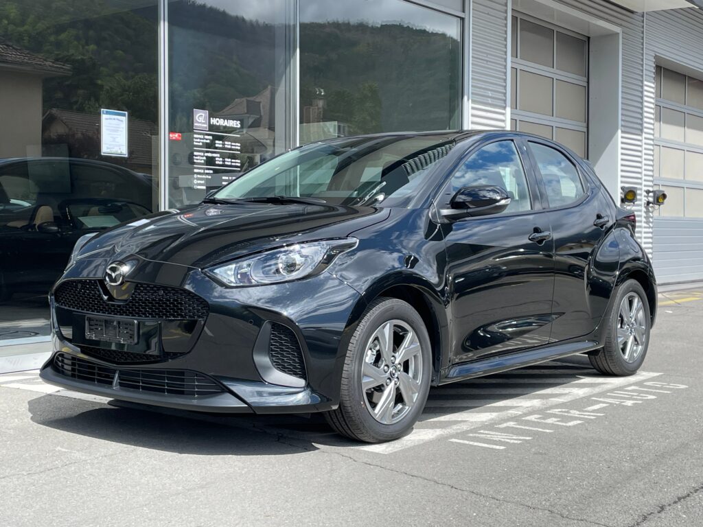 2 Hybrid Exclusive-line